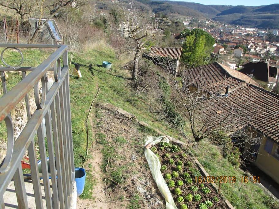 Maison De Vigne Renovee Saint-Affrique Dış mekan fotoğraf
